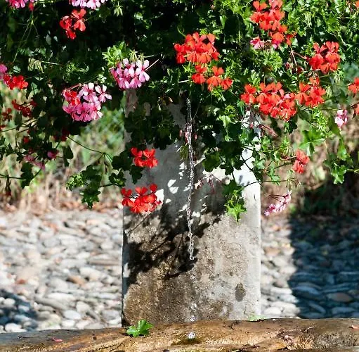 Garni Altstadt Erlach